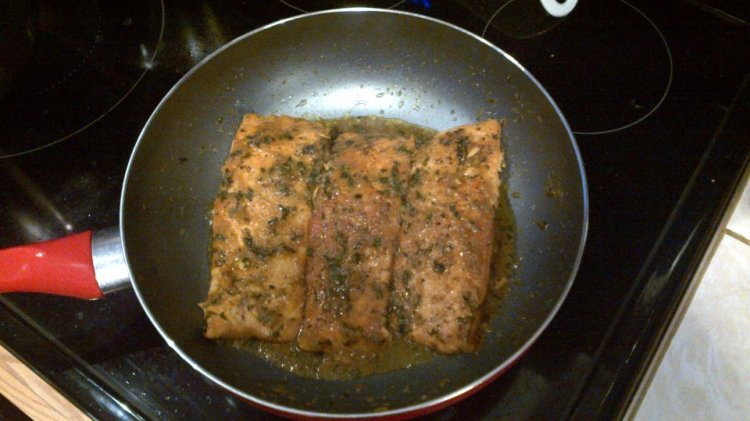 417951_103694289759535_100003568925789_11767_920794216_n