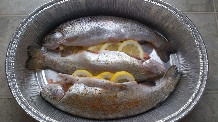 Lemon and spices trout-1